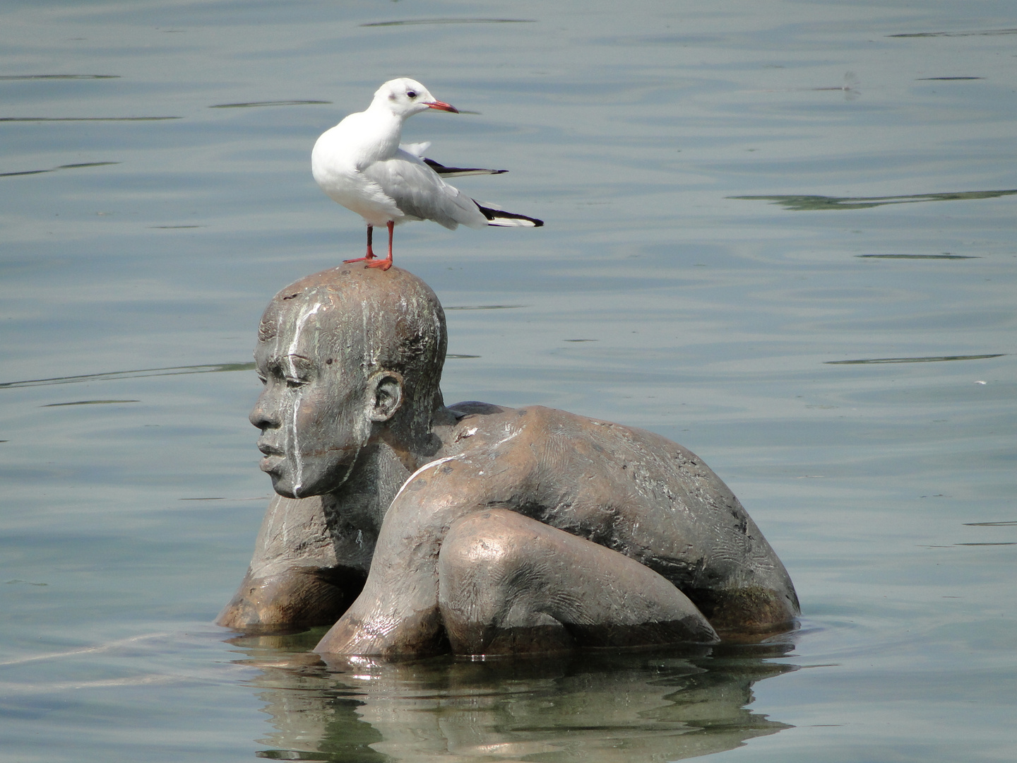 Bronze-Mann im Wasser...