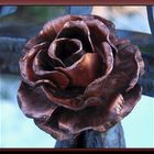 Bronzefarbene Rose