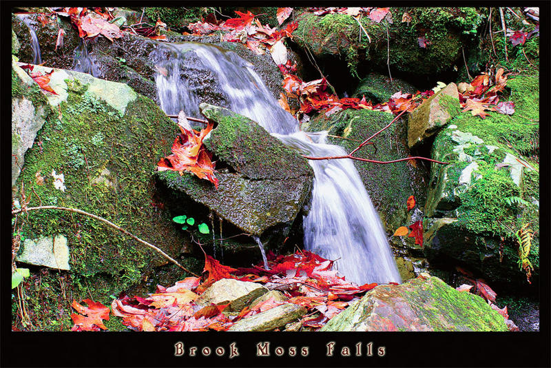 Brook Moss Falls