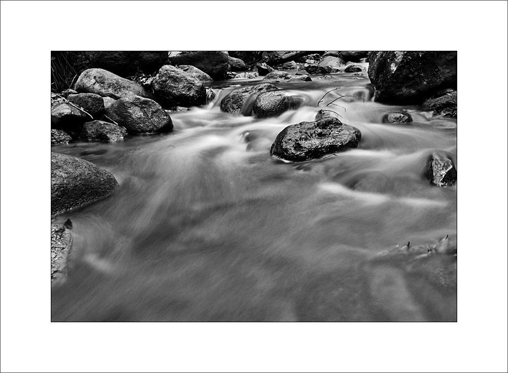 brook of El Cedro