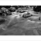 brook of El Cedro