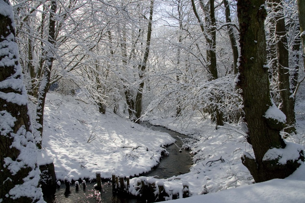 brooklet with snow round.