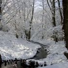 brooklet with snow round.