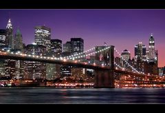 ~ Brooklyn Bridge ~