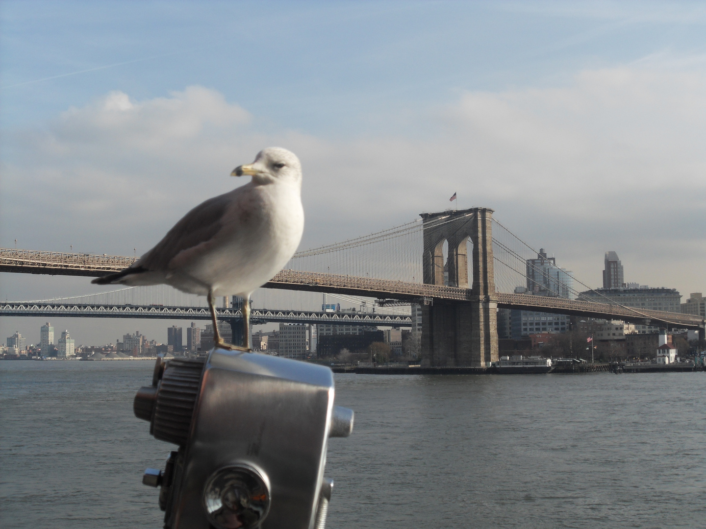 Brooklyn Bridge