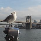 Brooklyn Bridge