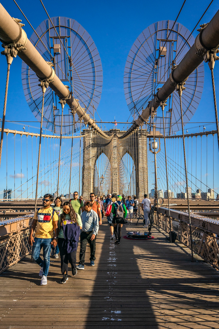 Brooklyn Bridge Alive