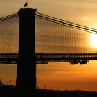 Brooklyn Bridge at Golden Hour