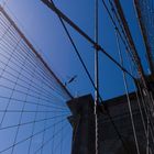 Brooklyn Bridge II