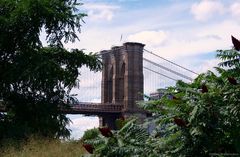 Brooklyn Bridge IV