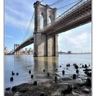 Brooklyn Bridge - NYC Manhatten