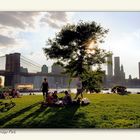 Brooklyn Bridge Park