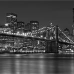 " Brooklyn-Bridge s/w "