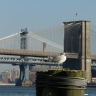 Brooklyn Bridge vom Pier 17 aufgenommen