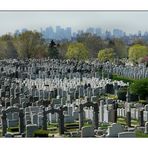 brooklyn -cemetery of the evergreens