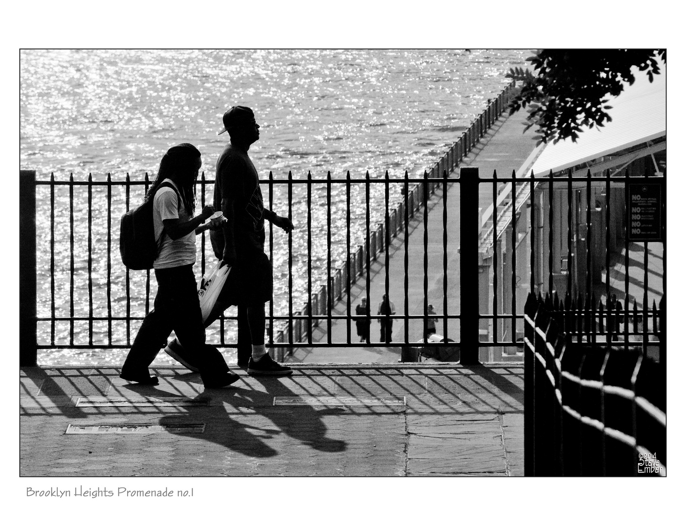 Brooklyn Heights Promenade - No. 1