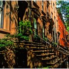 Brooklyn Heights Summer