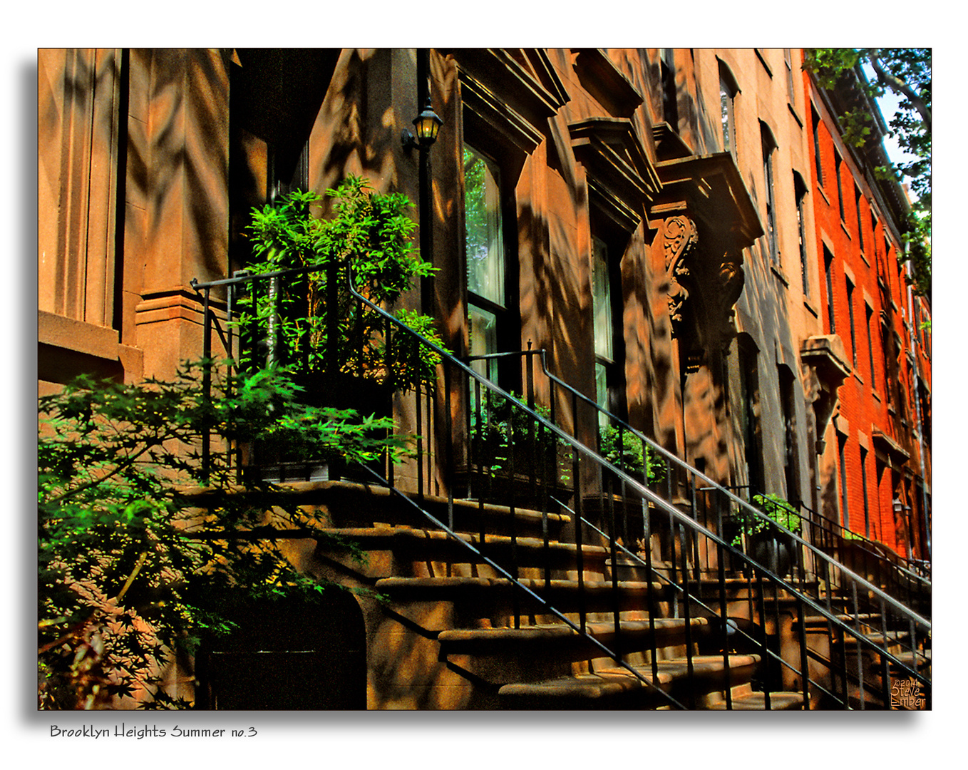 Brooklyn Heights Summer - No. 3