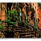 Brooklyn Heights Summer - No. 3