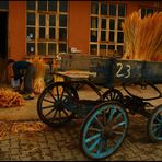 Broom Master 3-Edirne-Turkey