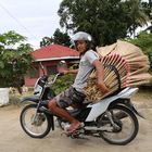 Broom Seller