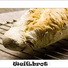 Brot