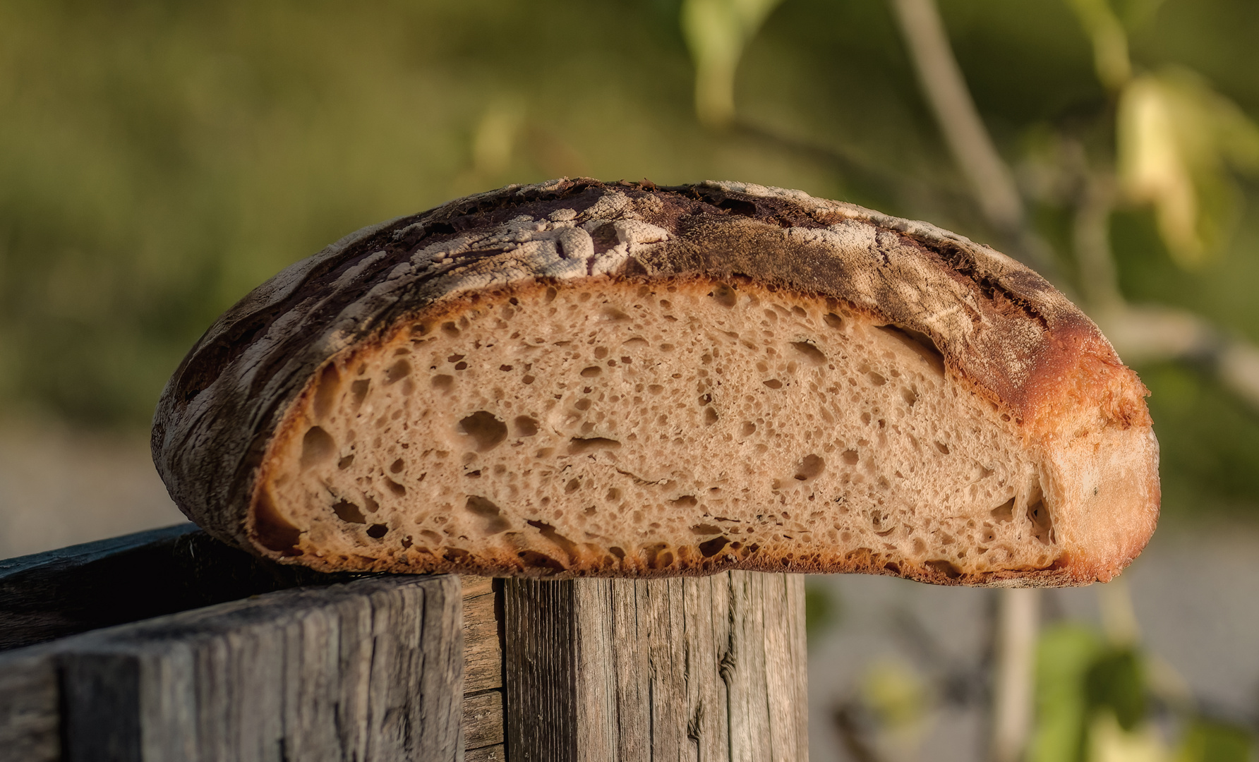 Brot- das Innenleben