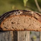 Brot- das Innenleben