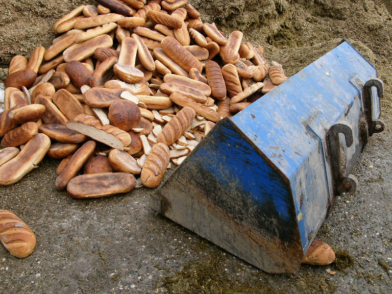 Brot für die Welt