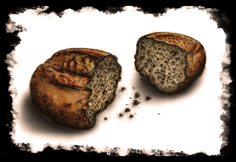 Brot für die Welt - Bread for the World