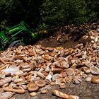 Brot für die Welt