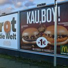 "Brot für die Welt" - kontra "KAU, BOY!"