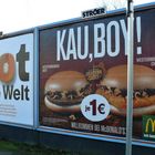 "Brot für die Welt" kontra "Kau,Boy!"