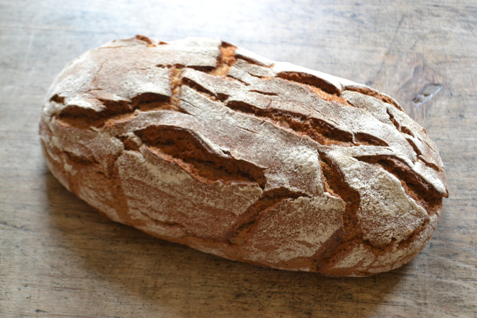 Brot Licht Natur Natürlich