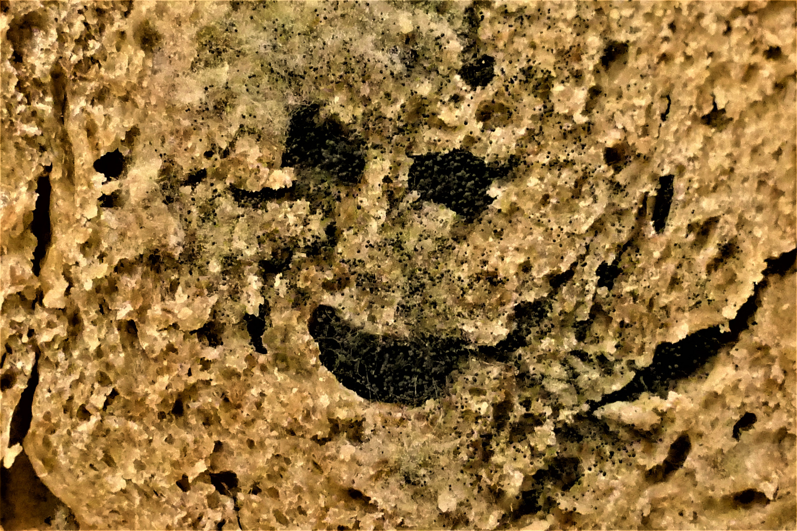 Brot-Schimmel-Smiley