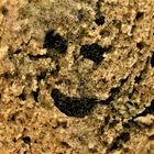 Brot-Schimmel-Smiley