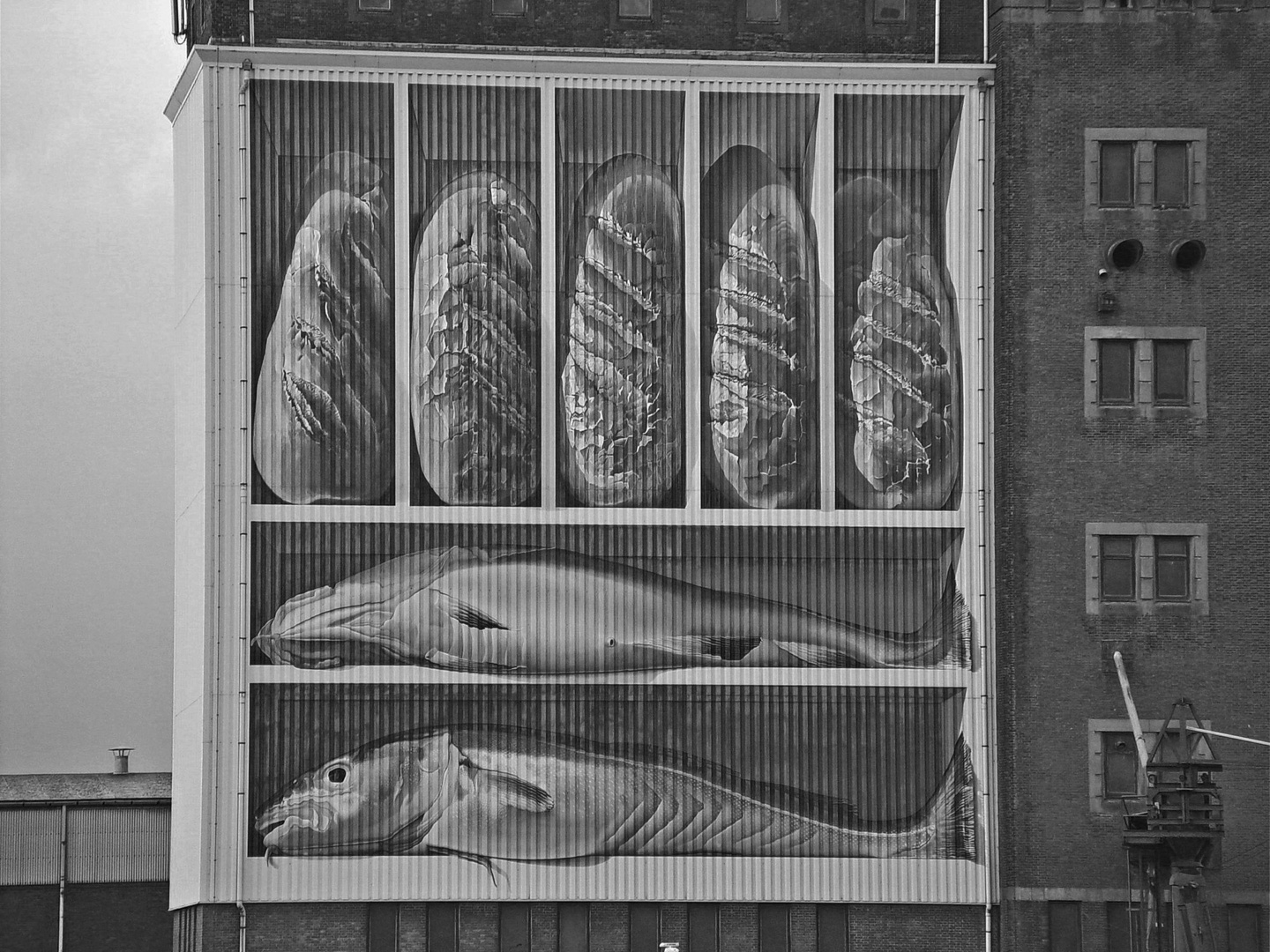 Brot und Fisch