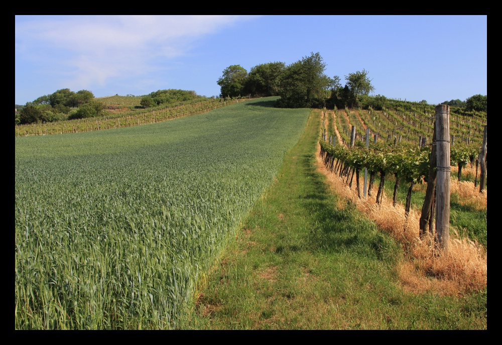 Brot und Wein