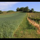 Brot und Wein