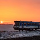 Brotbüchse im Sonnenaufgang II