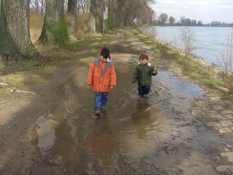 Brothers in puddles