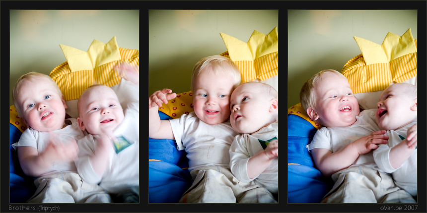 Brothers (Triptych)