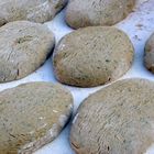 Brotlaibe vor dem Backen