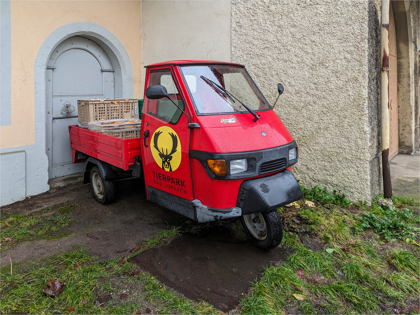 Brotsammler- Piaggio