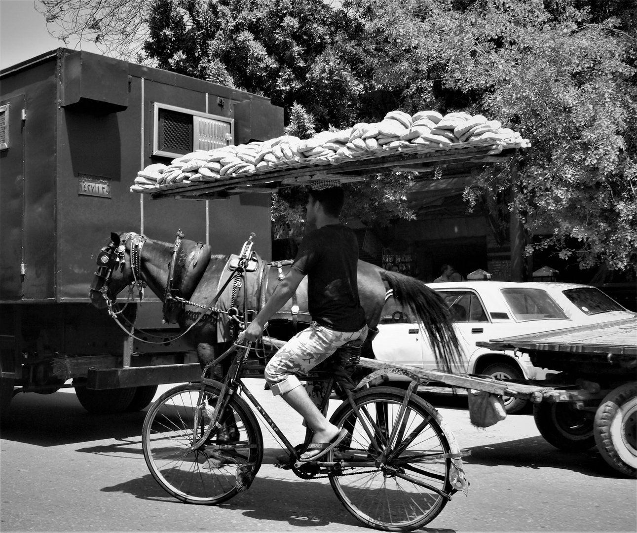 Brottransport in Kairo