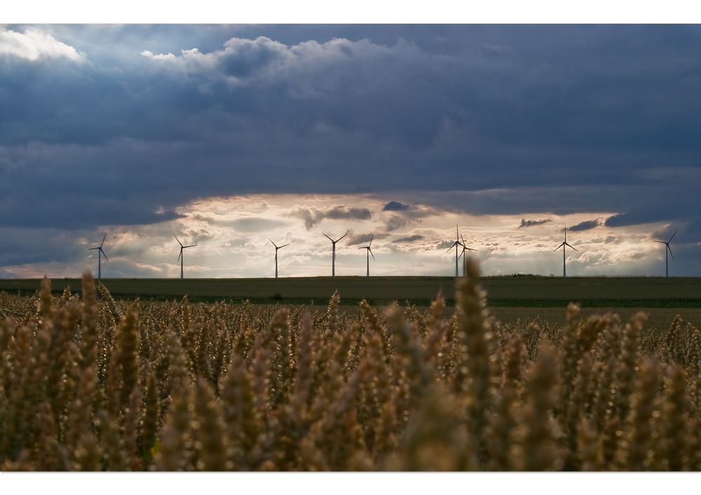 ~ Brot&wind... ~ von miracle-d.