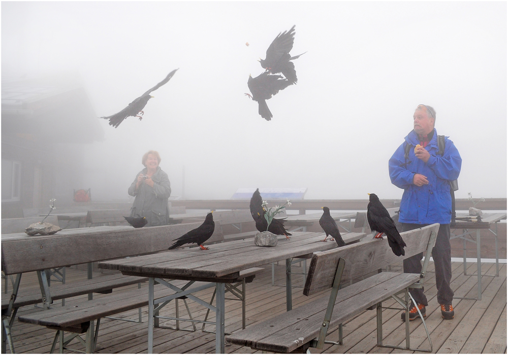 Brotzeit am Nebelhorn