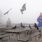 Brotzeit am Nebelhorn