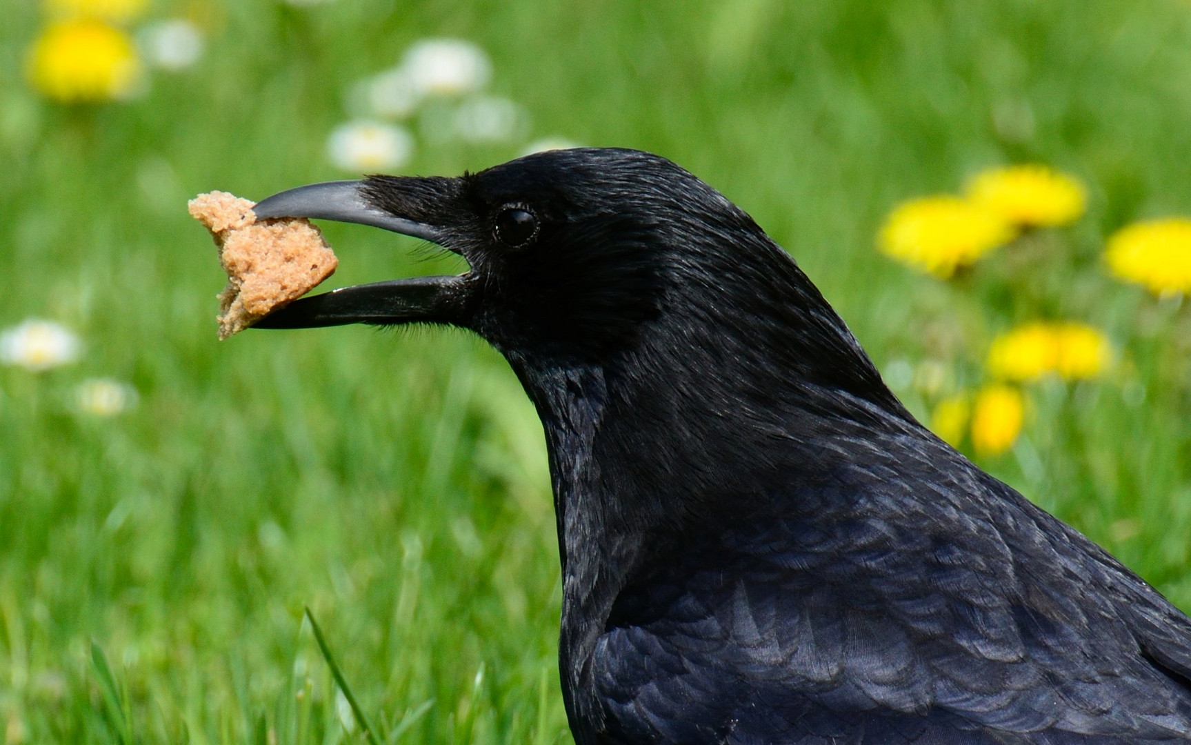 Brotzeit...