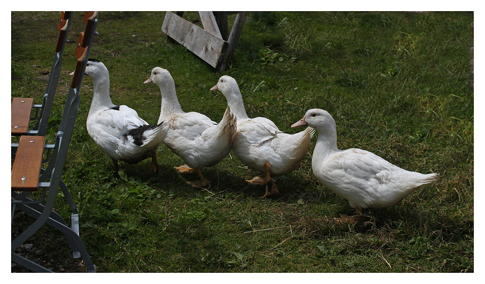 Brotzeit-Gesellschaft